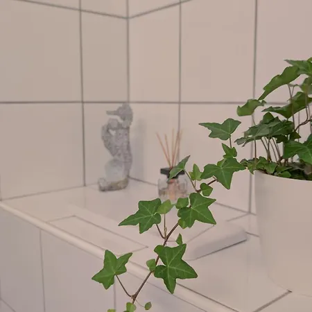 Apartment Relaxing Balcony 10min To Main Station In Old Town Zurich